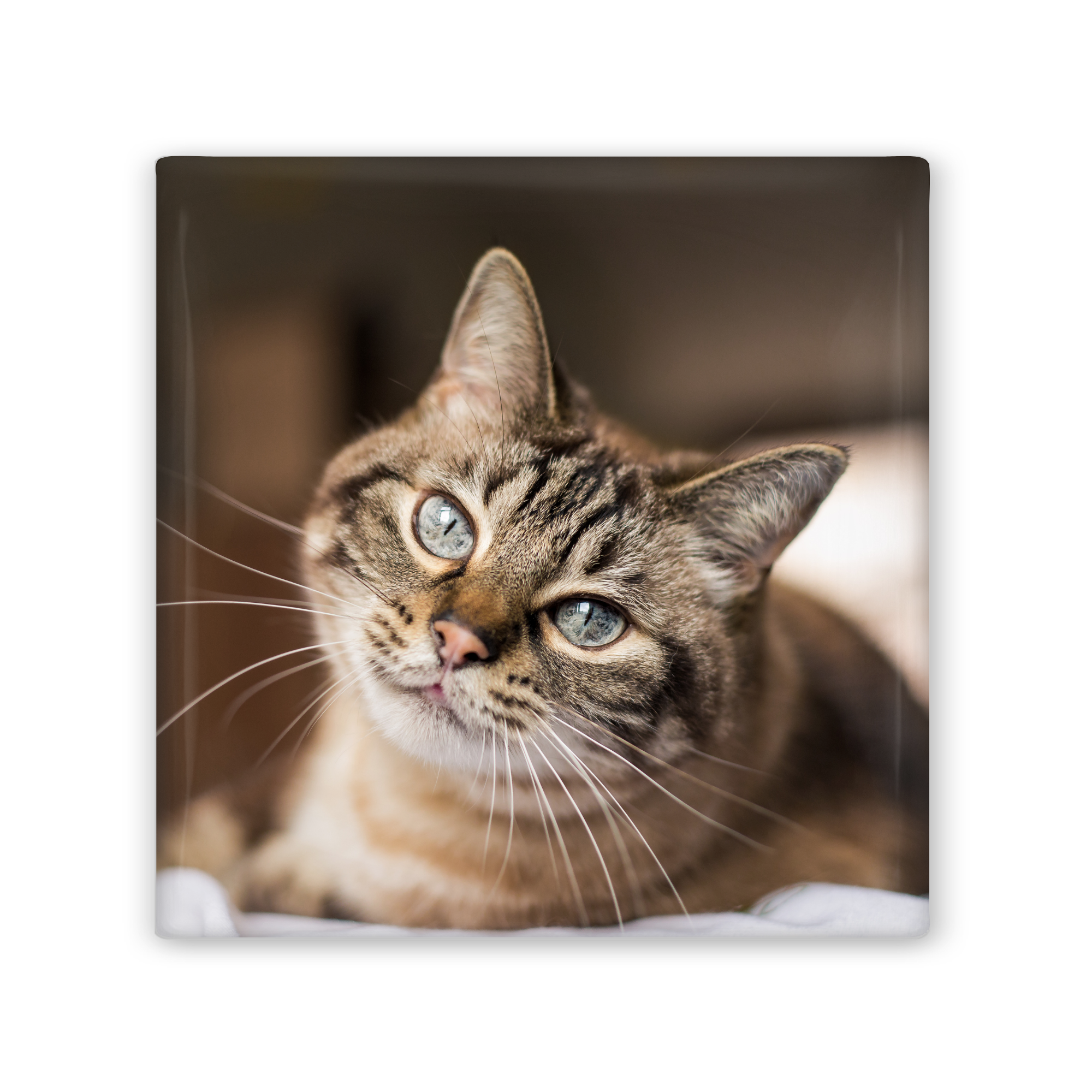 Pressed Photo Magnets
